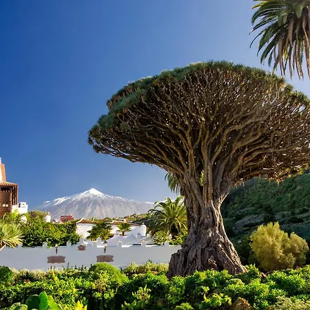 Eden Sunrise Caletillas *